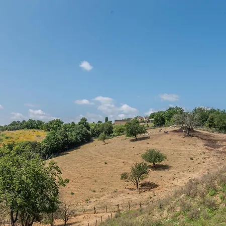 Olinto By Interhome Prázdninový dům Cinigiano