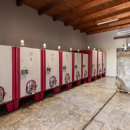 Olinto By Interhome Cinigiano